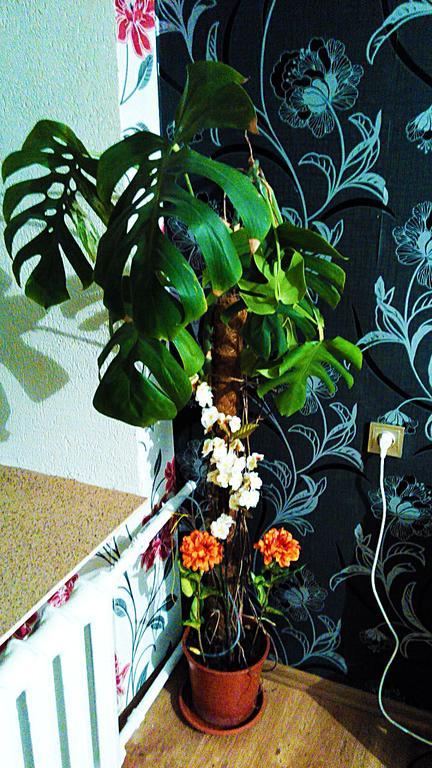 Picturesque Apartment Into Antique Fortress Daugavpils Værelse billede
